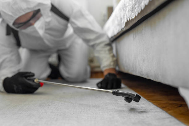 Professional Termite Control technician working in Delta, UT