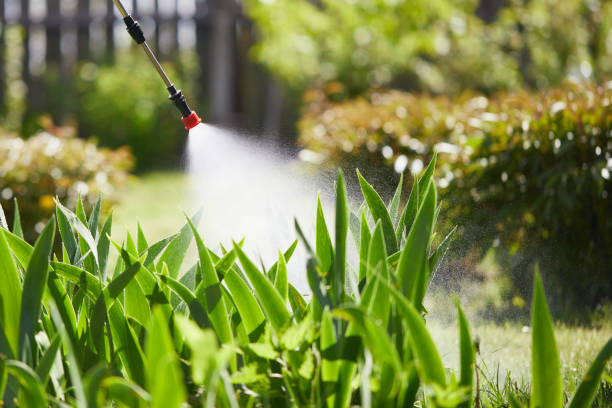 24/7 Emergency Termite Control experts in Delta, UT
